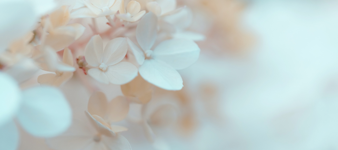 fleurs